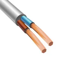 Силовой медный кабель ВВГ-Пнг(А) 2х2.5 ОК (N) 0.66кВ (уп.100м), ПромЭл