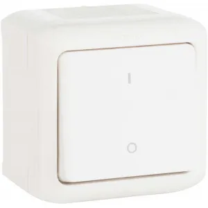 Выключатель 1-клавишный двухполюсный Legrand QUTEO, открытый монтаж, белый, 782309